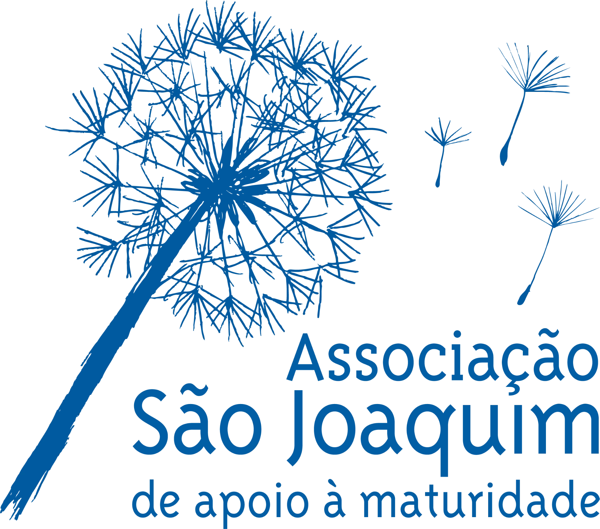Logo Associação São Joaquim